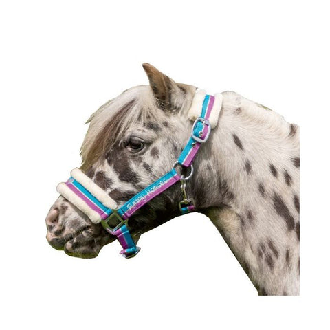 "Funny Horses" kötőfék