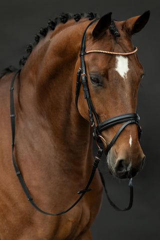 "Rosegold Glamour" kantár