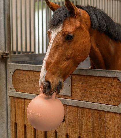 "Fun ball" lólabda