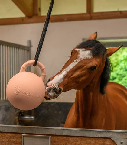 "Fun ball" lólabda
