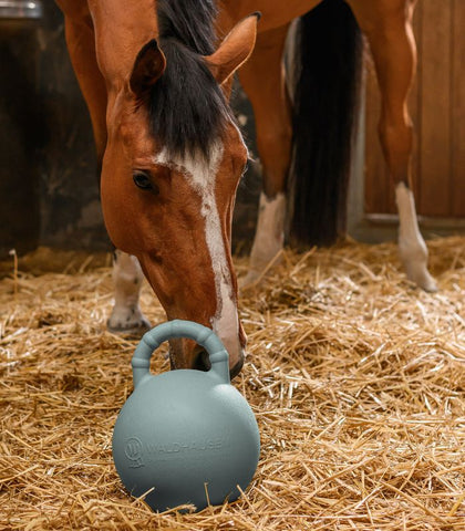 "Fun ball" lólabda