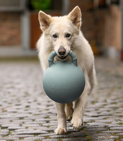 "Fun ball" lólabda