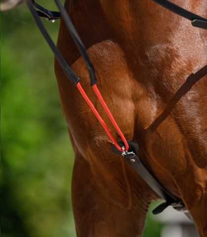 "W-trainRein" kikötőszár