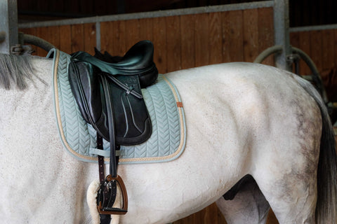 "Tapis de selle" díjlovas nyeregalátét pasztell színekben