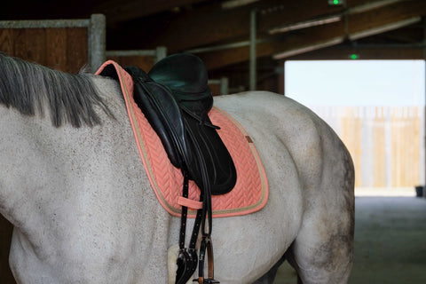 "Tapis de selle" díjlovas nyeregalátét pasztell színekben