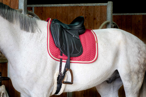 "Tapis de selle" díjlovas nyeregalátét pasztell színekben