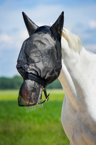 "Anti-fly" orrháló