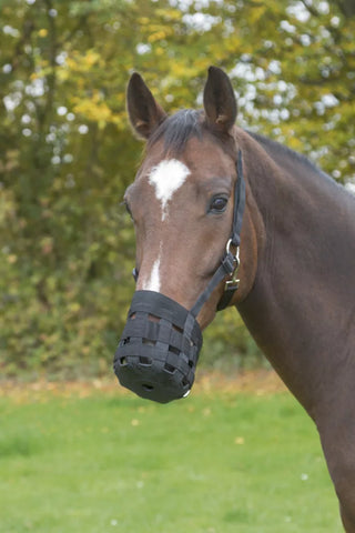 Szájkosár lovaknak