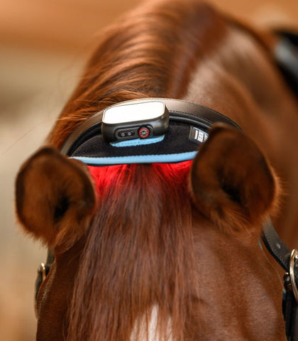 Health + Care "Infrared FlexPad" terápiás eszköz