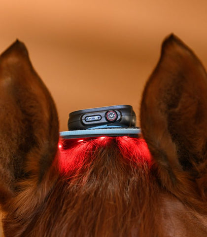 Health + Care "Infrared FlexPad" terápiás eszköz