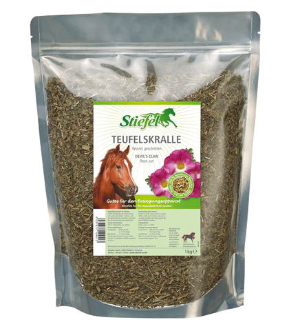 Ördögcsáklya, szárított, 1kg