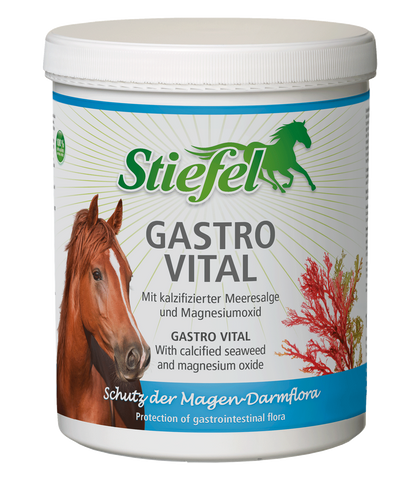 "Gastro Vital" gyomorműködés erősítő, 1kg
