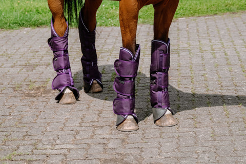 "Layla" szállítókamásli szett