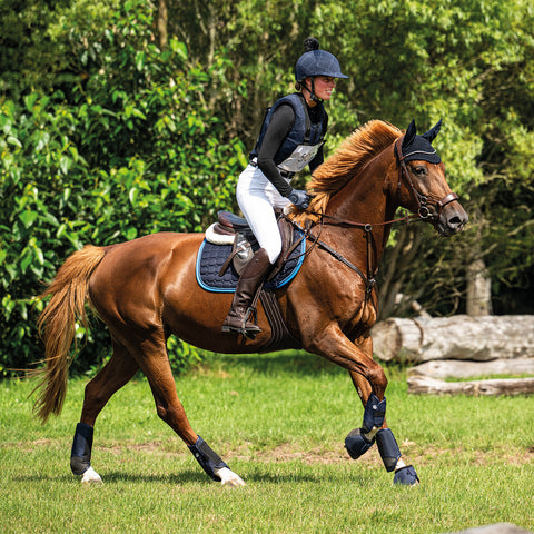 "Eventing boots"  technikai ínvádő hátsó lábra