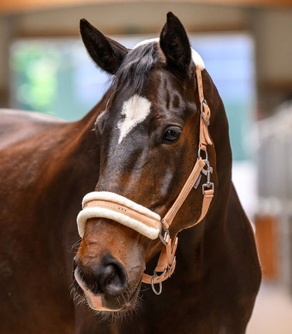 "Elegant" szőrmés kötőfék