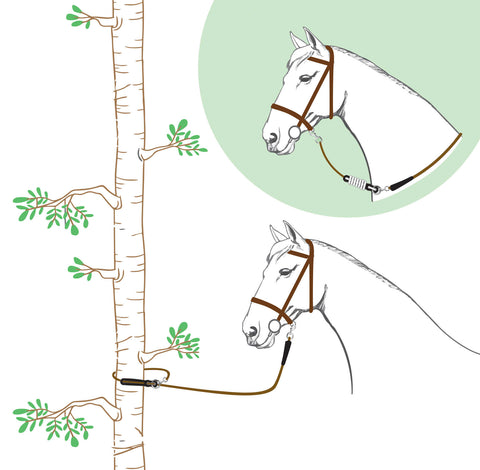 "Rando" különleges vezetőszár