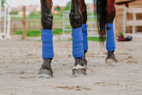 "Warm" meleg polárfásli