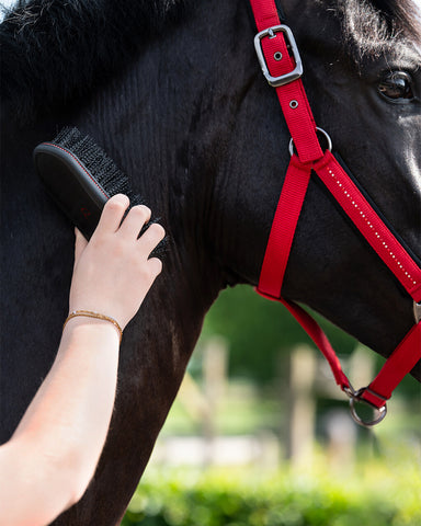 "Oakleigh" dandy kefe