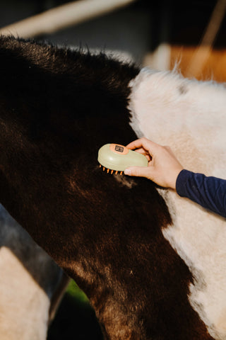 "Vapeur" gőzölős lóápoló kefe