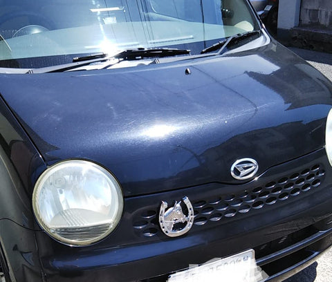 Lófej patkóban autós dísz