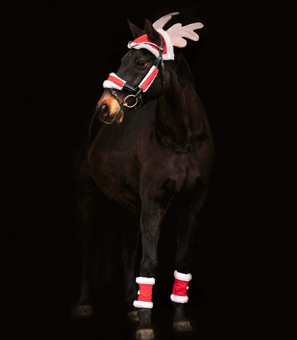"My Christmas Pony" karácsonyi szett lovaknak