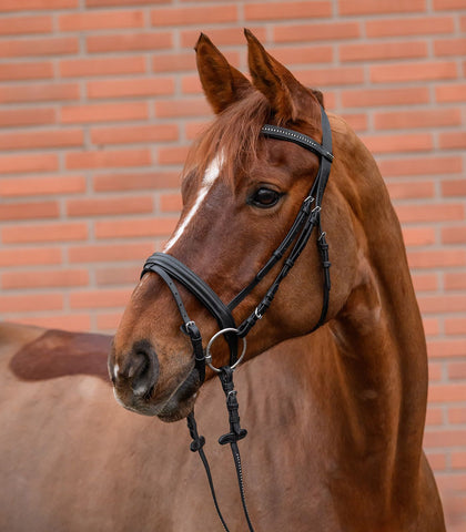 "Diamond" színes betétes kantár