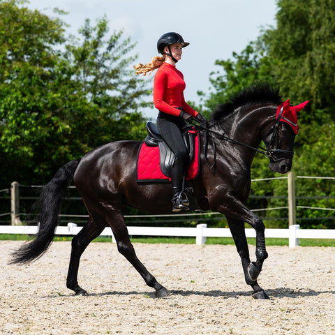 "Oakleigh" edzőfelső strasszokkal