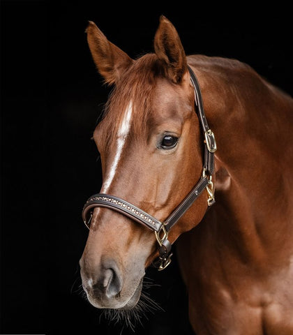 "Crystal X-Line" bőr kötőfék kristályokkal