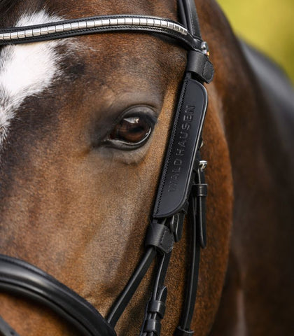 "Blinker" szemellenző kantárhoz