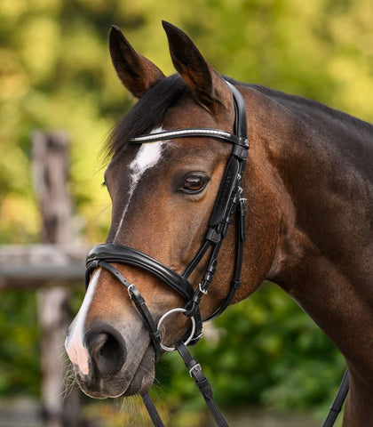"Blinker" szemellenző kantárhoz