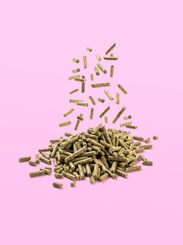 Breeding Junior Growth pellet csikótáp, 20 kg