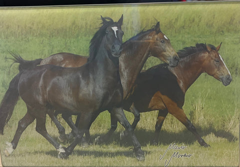 Üveg vágódeszka lovas mintával