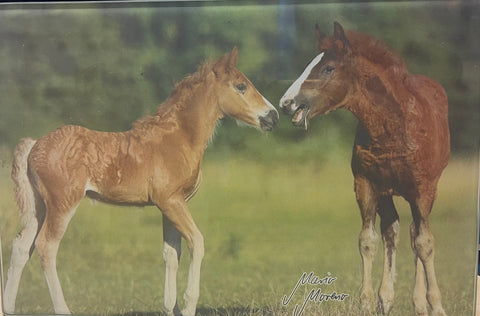 Üveg vágódeszka lovas mintával
