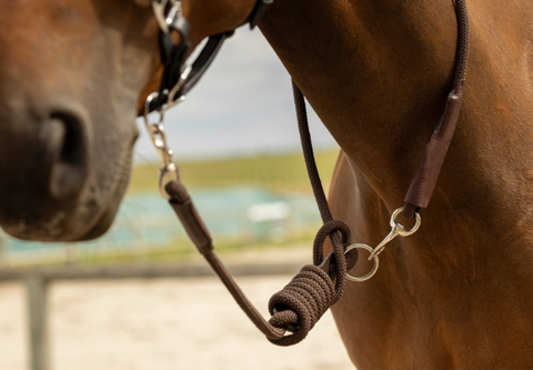 "Rando" különleges vezetőszár