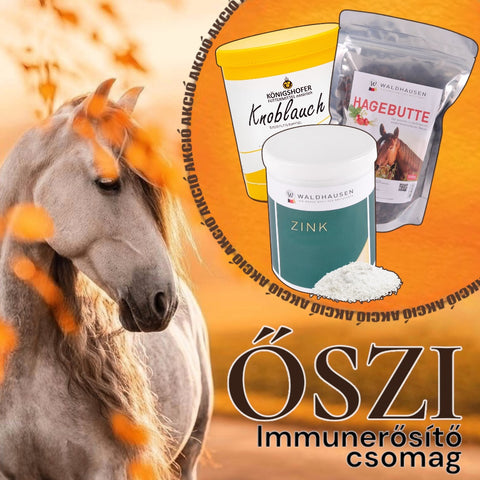 Őszi immunerősítő csomag (csipkebogyó, zink, fokhagymapor)