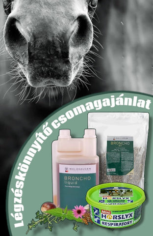 Légzéskönnyítő csomagajánlat (Broncho liquid, Brocho-Fit szárított gyógynövények,Horslyx Respiratory)