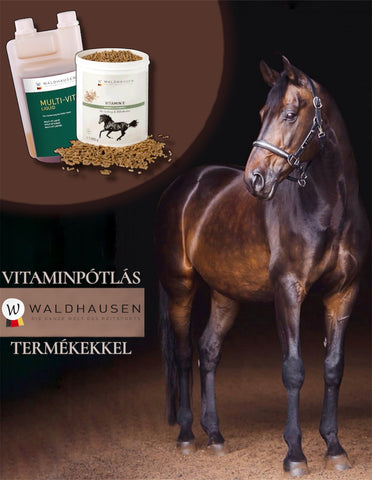 Vitaminpótló termékcsomag ( Multivit liquid, Vitamin E)
