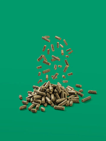 Vitaplus Balancer