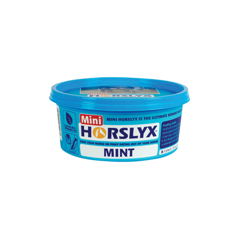 "Mint" nyalótömb, 650g