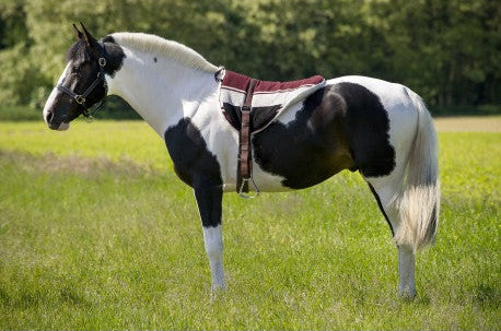 Lovaglópatrac kengyellel