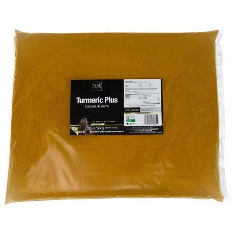 Kurkuma por, 2 kg