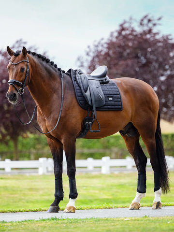 "Dressage Performance" díjlovas nyeregalátét, fekete