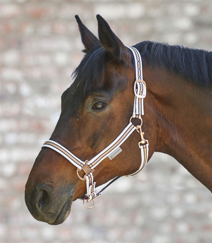 "Shine" rosegold gurtnis kötőfék