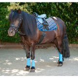Shetty nyeregszett Beginner