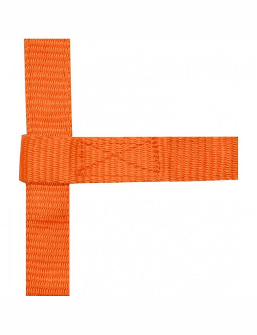 Csikókötőfék