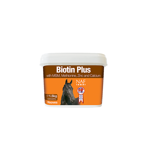 Biotin Plus por, zacskós utántöltő, 2 kg