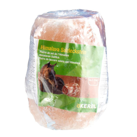 Himalaya nyalósó, zsinórral,  2-3 kg